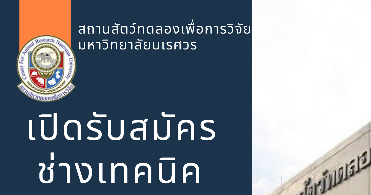 เปิดรับสมัคร ช่างเทคนิค จำนวน 1 อัตรา