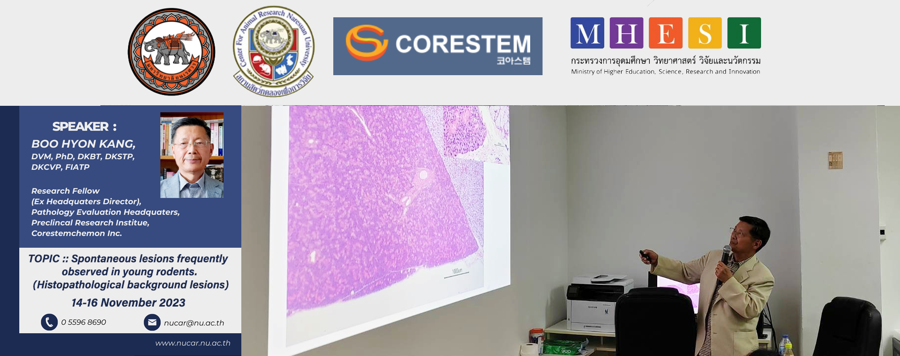 การบรรยายในหัวข้อ Spontaneous lesions frequently observed in young rodents. (Histopathological background lesions)